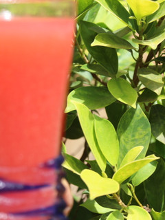 A picture of Guava juice.