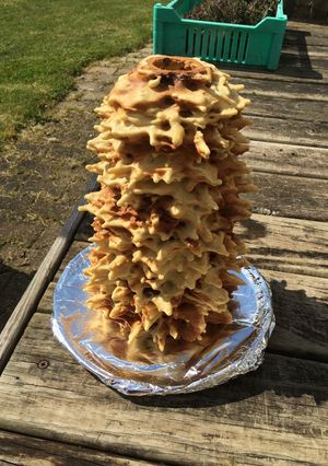 A picture of Gâteau à la broche (Spike cake).
