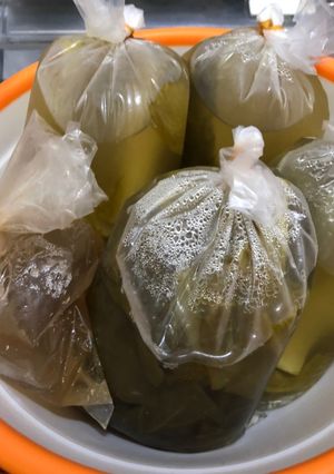 Foto resep Sayur Asin (home made)