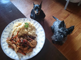 Salteado de pollo con yamaní