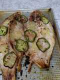 Boga al horno