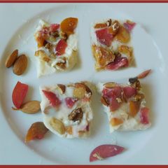 Fruity nutty frozen yogurt bars A picture of Fruity nutty frozen yogurt bars.