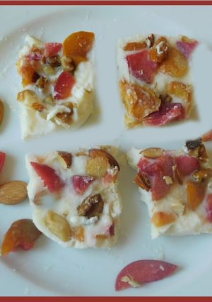 A picture of Fruity nutty frozen yogurt bars.