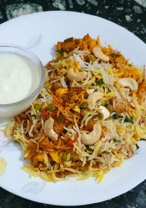 A picture of Veg Biryani.