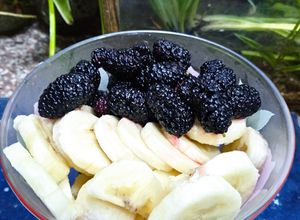 Une photo de Salade de fruits 🥣 : banane 🍌 et mûre violette 🍇