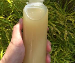 Resep Terbaik Jamu beras kencur Yummy Mantul Resep Terbaik Jamu beras kencur Yummy Mantul