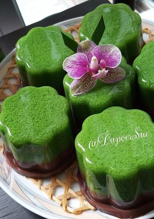 Foto resep Puding Lumut Coklat Duo