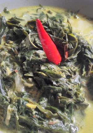 Foto resep Sayur daun singkong santan gurih