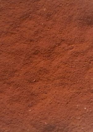 Foto de Tiramisu