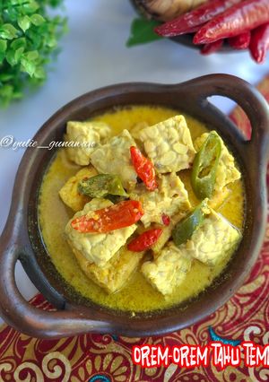 Foto resep Orem-Orem Tahu Tempe Khas Malang