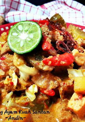 Foto resep Tongseng Ayam Kuah Santan