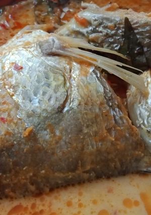 Foto resep Gulai ikan kakap