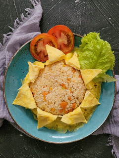 Foto resep Nasi goreng hongkong berselimut