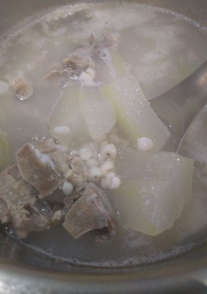 冬瓜薏仁排骨湯（家常好湯） 的食譜成品照片