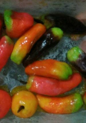 Foto resep kue buah mini thai
