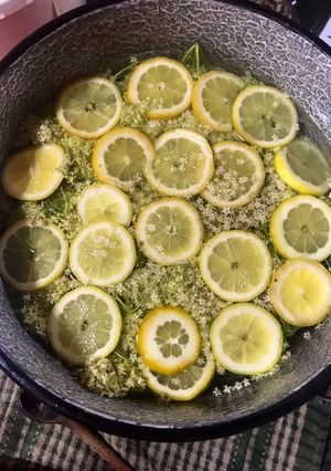 Bodzaszörp 🍋🍸 recept fotója