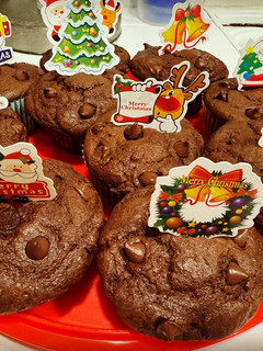 A picture of Double Chocolate Chip Muffins.