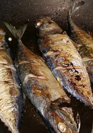 Foto resep Ikan peda bakar teflon