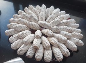 صورة لوصفة معمول التمر على الطريقة المغربية