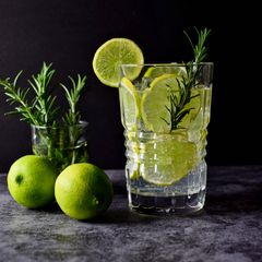 A picture of Lime Gin Spritzer.