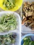 Hierbas para saborizar la yerba del mate