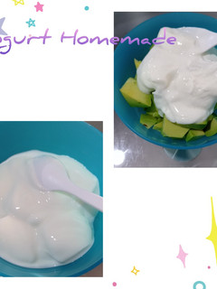 Foto resep Yogurt Homemade
