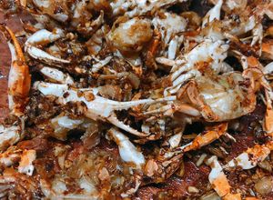 Hình của món Rạm sữa rang me.