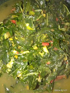 Foto resep Tumis Daun singkong