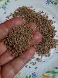 Nimbu Ajwain