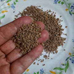 A picture of Nimbu Ajwain.