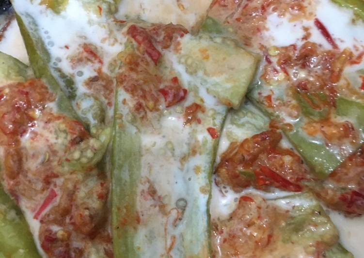 Sambal terong santan