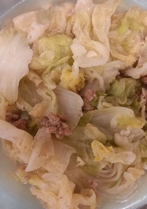 白菜燴豬肉 的食譜成品照片