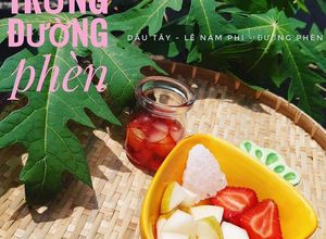 Hình của món Ăn Dặm : Trà Dâu Lê Trưng Đường phèn.