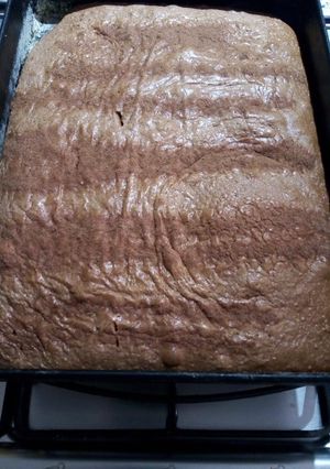 Una foto de Brownie sin vueltas!
