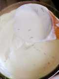 Salsa bechamel
