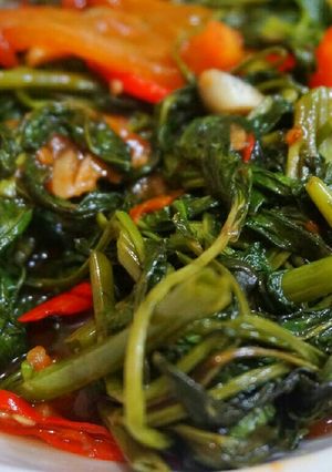 Foto resep Tumis Kangkung Saus Tiram