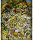Tornillos con vegetales y "Pollo" Veg