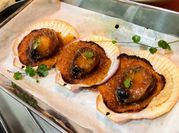 Gambar scallop kerang
