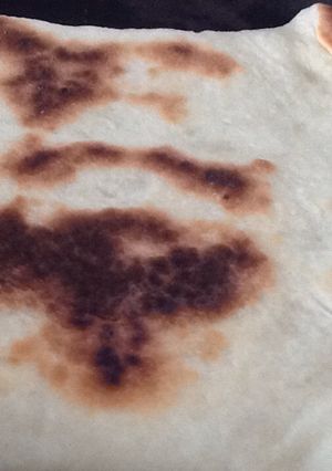 A picture of Souvlaki bread.