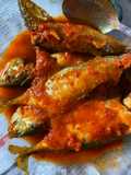 Ompok Ikan