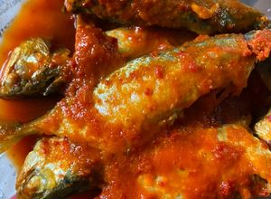 Gambar Ompok Ikan