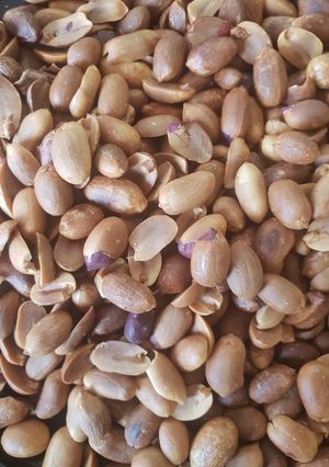 A picture of Roasting Salted Peanut using Oven.