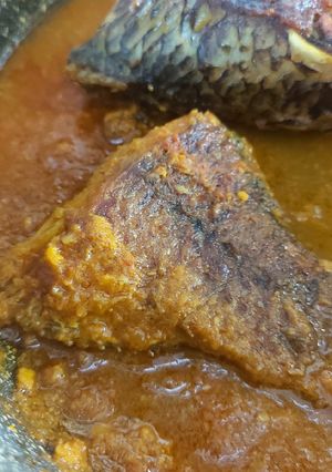তেলাপিয়া মাছের ঝোল (Telapiya macher jhol recipe in Bengali) রেসিপির প্রধান ছবি