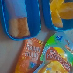 A picture of Chicken wrap, and fruit.