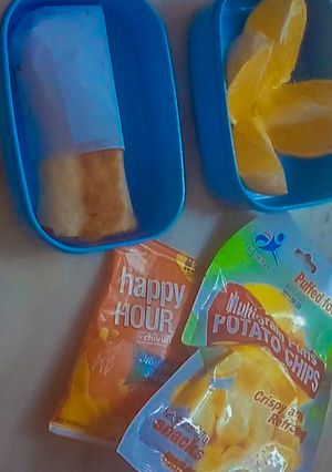 A picture of Chicken wrap, and fruit.