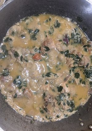 A picture of Chicken stew in coconut with miracle plant Malunggay.