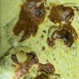 ستيك دجاج مع الكريمه والجبنه