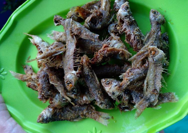 Ikan wader goreng