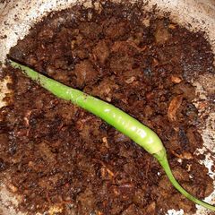 A picture of Kuchlawa gosht mazedaar.