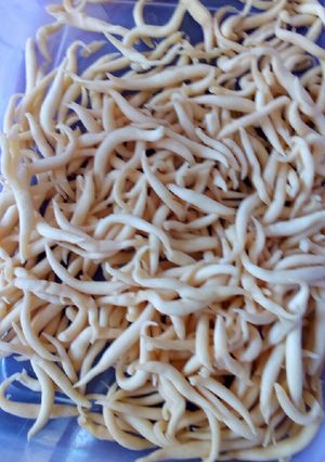 Foto resep Telur Gabus